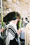 Gigantic Lulav and Etrog