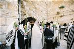 Gigantic Lulav and Etrog