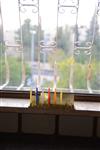 A child lights a menorah at the entrance facing the public domain