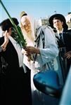 הרב שלום יוסף אלישיב  עם ארבעת המינים בחג הסוכות