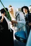 Rabbi Shalom Yosef Elyashiv with four species on Sukkot