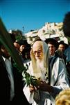Rabbi Shalom Yosef Elyashiv with four species on Sukkot