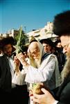 Rabbi Shalom Yosef Elyashiv with four species on Sukkot