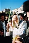 Rabbi Shalom Yosef Elyashiv with four species on Sukkot