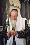 Jewish choose and shake the Four Species on Sukkot