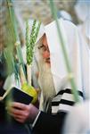 Jewish choose and shake the Four Species on Sukkot