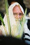 Jewish choose and shake the Four Species on Sukkot