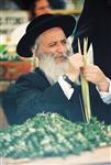 Jewish choose and shake the Four Species on Sukkot