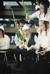 Jewish choose and shake the Four Species on Sukkot