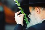 Jewish choose and shake the Four Species on Sukkot