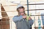 Jewish choose and shake the Four Species on Sukkot