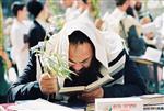 Jewish choose and shake the Four Species on Sukkot