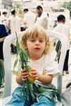 Jewish choose and shake the Four Species on Sukkot