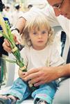 Jewish choose and shake the Four Species on Sukkot