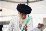 Jewish choose and shake the Four Species on Sukkot