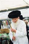 Jewish choose and shake the Four Species on Sukkot