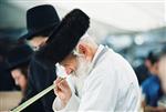 Jewish choose and shake the Four Species on Sukkot