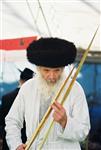 Jewish choose and shake the Four Species on Sukkot