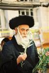 Jewish choose and shake the Four Species on Sukkot