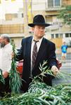 Jewish choose and shake the Four Species on Sukkot