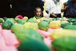 Jewish choose and shake the Four Species on Sukkot