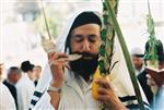 Jewish choose and shake the Four Species on Sukkot