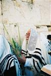 Jewish choose and shake the Four Species on Sukkot