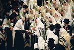 Jewish choose and shake the Four Species on Sukkot