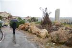 a rainy day in Jerusalem