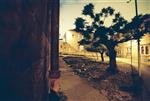 An interesting daily life routine in Jerusalem