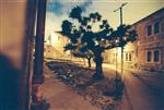 An interesting daily life routine in Jerusalem