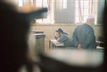 An interesting daily life routine in Jerusalem