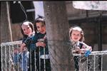 An interesting daily life routine in Jerusalem