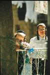 An interesting daily life routine in Jerusalem