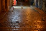 An interesting daily life routine in Jerusalem