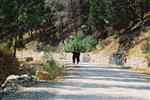 An interesting daily life routine in Jerusalem