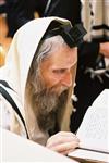 Rabbi Aharon Yehuda Leib Shteinman