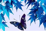 background of leaves and butterfly