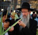 lulav