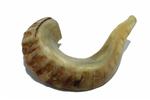 Shofar