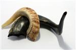 Shofar