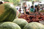 Fruits Snstbhh the Land of Israel