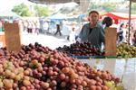 Fruits Snstbhh the Land of Israel