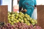 Fruits Snstbhh the Land of Israel