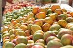 Fruits Snstbhh the Land of Israel