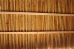  bamboo sticks s&#39;chach covering on a sukka, from inside the sukka