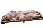 salted chickens on a  koshering board on a white background
