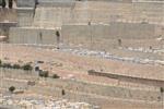 Level burial cemetery in Jerusalem Har HaMenuchot