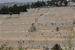 Level burial cemetery in Jerusalem Har HaMenuchot