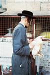 Do Yom Kippur kaparot in Jerusalem